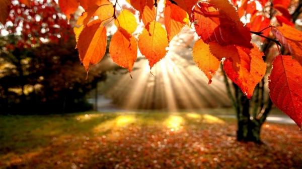 Как лучше провести мистический день осеннего равноденствия 23 сентября 2022 года