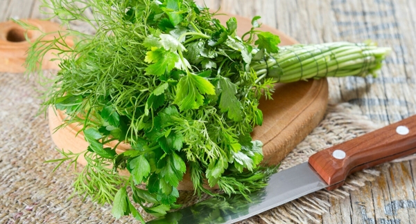 Доступные способы хранения зелени, чтобы она дольше оставалась свежей