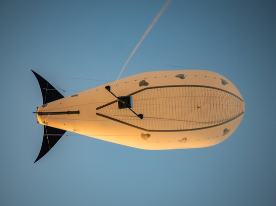 Исследователей атмосферы обвинили в падении надоев у коров: «Распускаем радиацию»