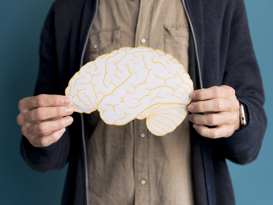 Ученые нашли в мозге «нейроны еды»