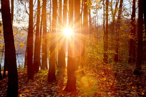 Сколько продлится мощная магнитная буря, которая началась 30 сентября 2022 года