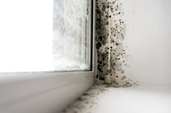 Какие народные средства и современные способы можно использовать, чтобы окна не плакали зимой Какие народные средства и современные способы можно использовать, чтобы окна не плакали зимой