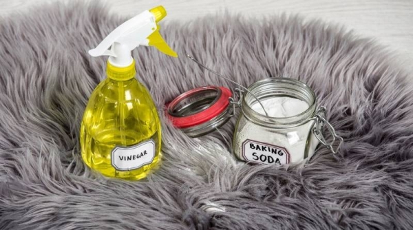 Доступные способы, которые позволят в домашних условиях почистить мех на куртке