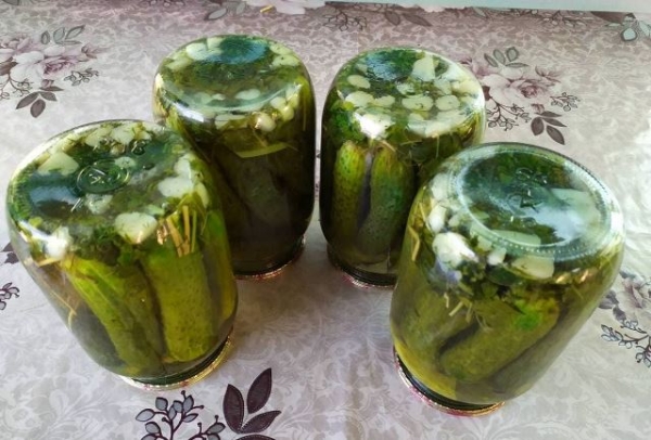 Как сохранить консервированные огурцы, если они помутнели, можно ли их есть Как сохранить консервированные огурцы, если они помутнели, можно ли их есть