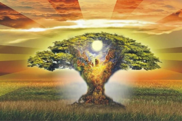 Пять способов способов призвать поколения предков на помощь в сложной ситуации