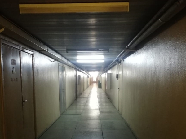 Исцеляющий импульс: российские ядерщики рассказали, что убивает рак за микросекунды