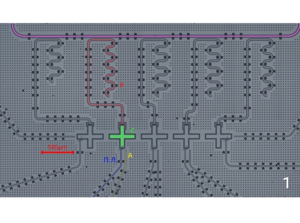 Команда российских ученых создала квантовую систему на мировом уровне