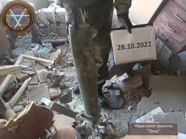 Математикам прилетел «Град», ботаники кутали пальмы шторами: как выживают донецкие ученые