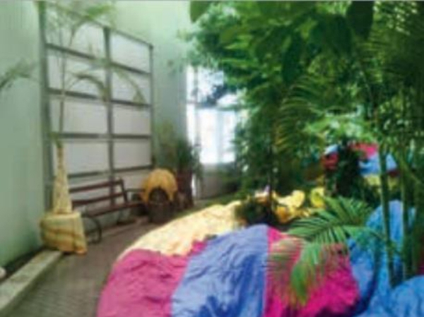 Математикам прилетел «Град», ботаники кутали пальмы шторами: как выживают донецкие ученые