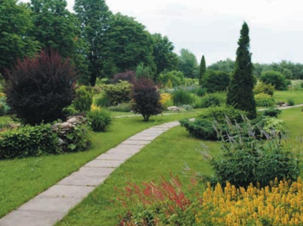 Математикам прилетел «Град», ботаники кутали пальмы шторами: как выживают донецкие ученые