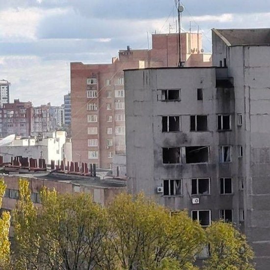 Математикам прилетел «Град», ботаники кутали пальмы шторами: как выживают донецкие ученые