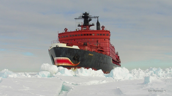 Бескрайний потенциал Арктики: названы преимущества Северного морского  пути