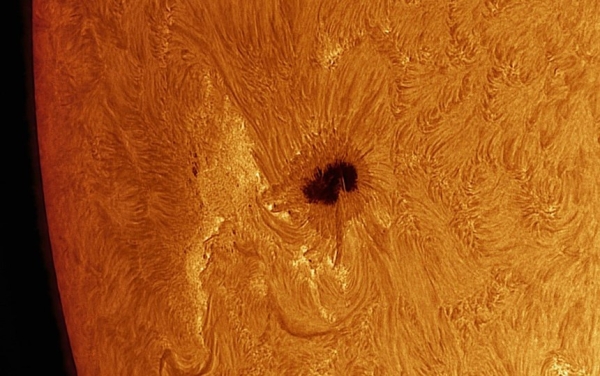 Астрономы-любители увидели полярное сияние с широты Москвы