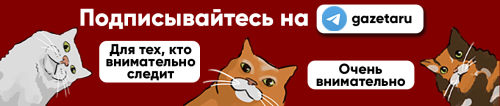 Зарядка за 10 минут и камера на 200 Мп: семь флагманов, которые стоят своих денег  Зарядка за 10 минут и камера на 200 Мп: семь флагманов, которые стоят своих денег