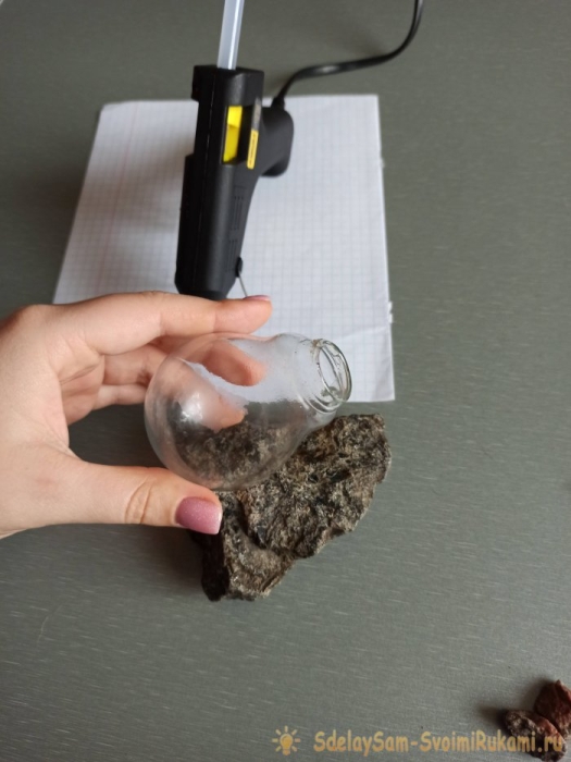 Как сделать террариум в лампочке Как сделать террариум в лампочке