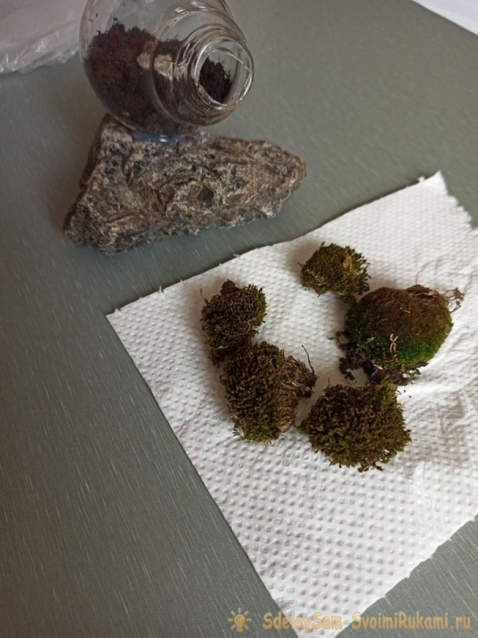 Как сделать террариум в лампочке Как сделать террариум в лампочке