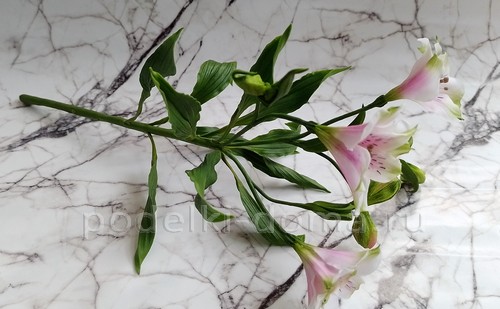 Цветок альстромерия из холодного фарфора Цветок альстромерия из холодного фарфора