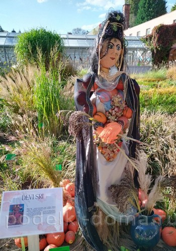 Поделки из тыквы Поделки из тыквы