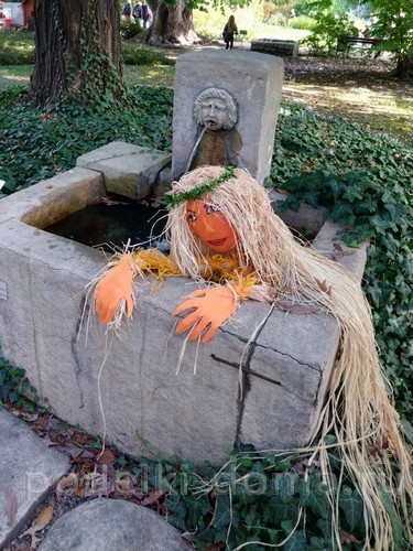 Поделки из тыквы Поделки из тыквы