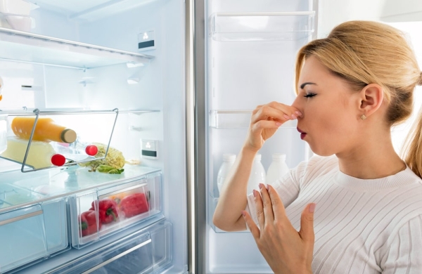 Как убрать неприятный запах из холодильника: что в него нужно положить, чтобы забыть о проблеме Как убрать неприятный запах из холодильника: что в него нужно положить, чтобы забыть о проблеме