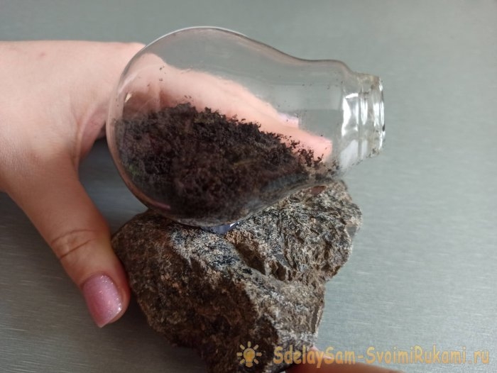 Как сделать террариум в лампочке Как сделать террариум в лампочке