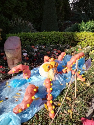 Поделки из тыквы Поделки из тыквы