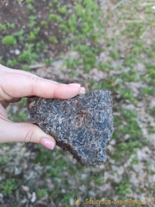 Как сделать террариум в лампочке Как сделать террариум в лампочке