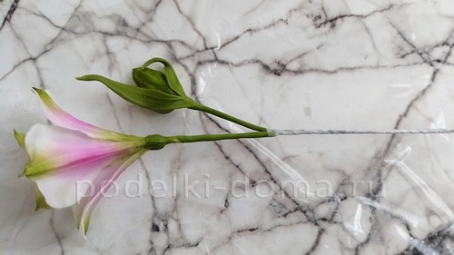 Цветок альстромерия из холодного фарфора Цветок альстромерия из холодного фарфора