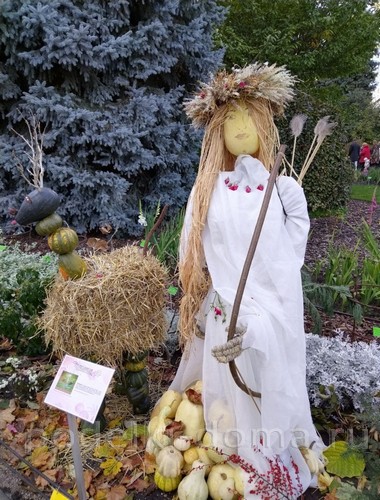 Поделки из тыквы Поделки из тыквы