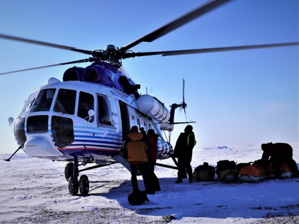 Белые медведи, том ям и оладьи из замерзших яиц: как прошла уникальная Большая Арктическая экспедиция
