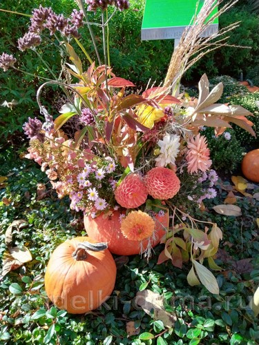 Поделки из тыквы Поделки из тыквы