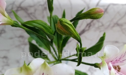 Цветок альстромерия из холодного фарфора Цветок альстромерия из холодного фарфора