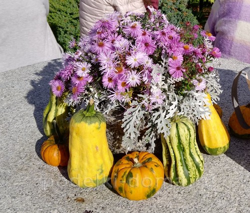 Поделки из тыквы Поделки из тыквы