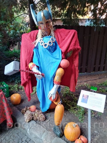 Поделки из тыквы Поделки из тыквы