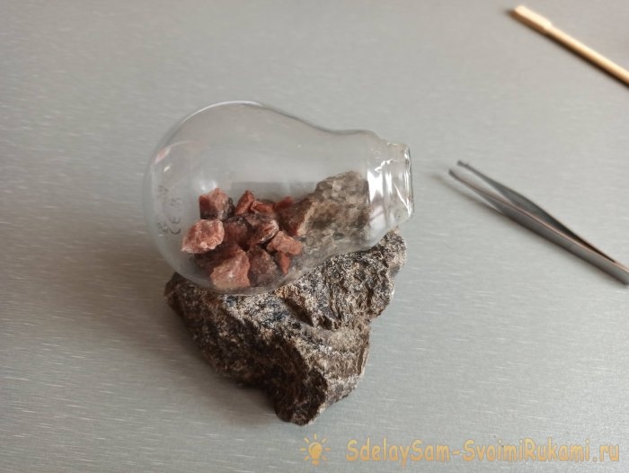 Как сделать террариум в лампочке Как сделать террариум в лампочке