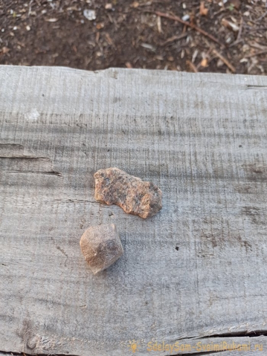 Как сделать террариум в лампочке Как сделать террариум в лампочке