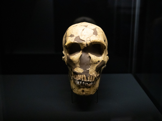 Древним людям потребовались три попытки и тысячи лет для заселения Европы