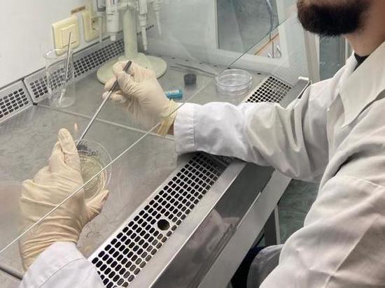 Российские ученые создали суперпатоген: все антибиотики бессильны