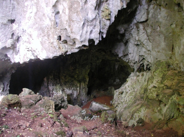 Находка доисторических окаменелостей изменила представления о происхождении человечества