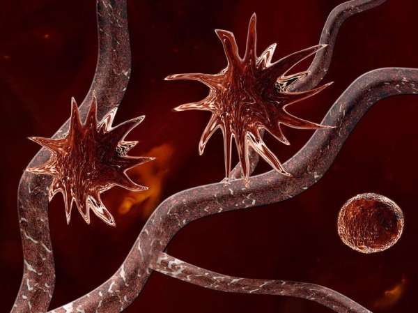 Ученые из Петербурга создали онкологическую теорию эволюции: как «подружиться» с раком