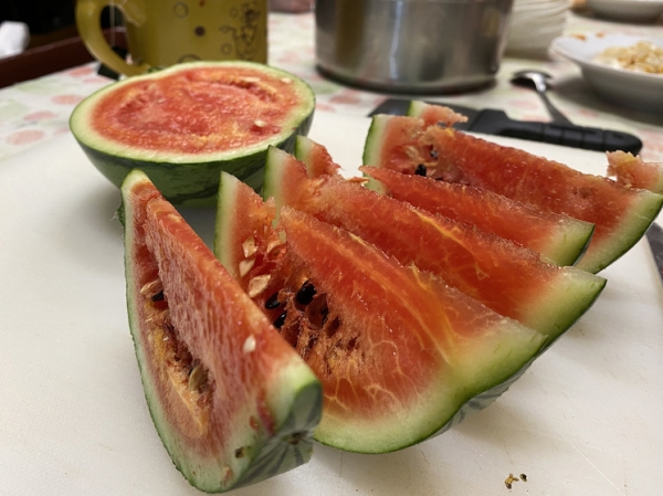 Александр Макаров объяснил, как на станции "Восток" в Антарктиде получилось вырастить арбузы