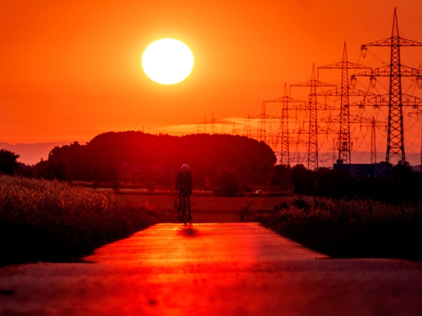 Ученые заявили об угрозе продовольственной безопасности планеты из-за рекордной жары