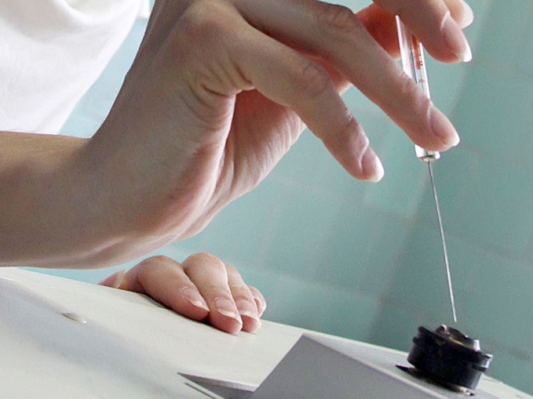 Ученых заворожил «чрезвычайно захватывающий и редкий» доисторический камень: нашли случайно