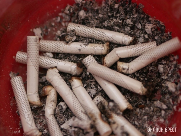 С 1 сентября в Беларуси подорожают 109 марок сигарет