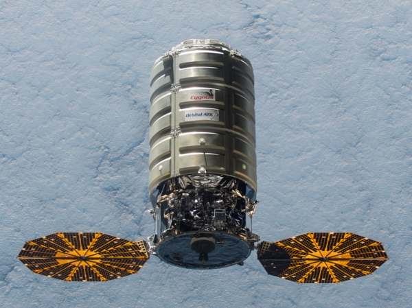 На МКС привезли стволовые клетки для выращивания мозгов