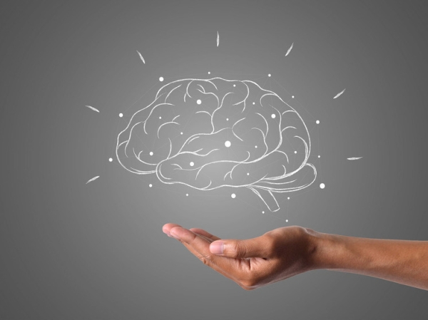 Обнаружена разница в структуре мозга у людей с нормальным и избыточным весом