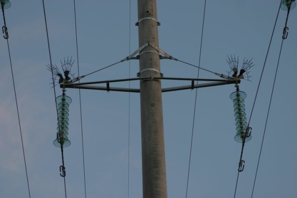 МАРТ повысил тарифы на услуги в электроэнергетике МАРТ повысил тарифы на услуги в электроэнергетике