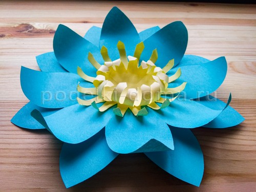 Голубая лилия из бумаги Голубая лилия из бумаги
