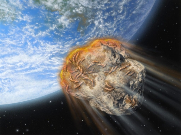 Каким образом теория панспермии доказывает, что люди являются коренными жителями космоса Каким образом теория панспермии доказывает, что люди являются коренными жителями космоса